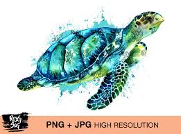 This Item Is Unavailable Etsy Turtle Watercolor Turtle Clip Art
