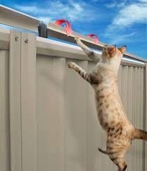 So, for many reasons you need to learn how to keep cats out of your yard. Cat Proof Garden Ideas Cat Fence Ideas Garden Fence Ideas Cat Fence Outdoor Cats Outdoor Cat Enclosure