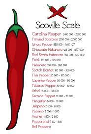 Trinidad scorpion chocolate fast facts: Chilisorten Auf Der Scoville Scharfeskala Miomente Entdeckermagazin