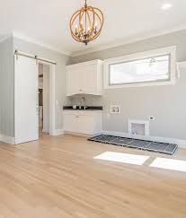Passive By Sherwin Williams Passive Sw 7064 By Sherwin Williams Pass Interior Paint Colors Sherwin Williams Sherwin Williams Paint Colors Paint Colors For Home