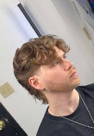 No I Dont Want The Plesa Puma Haircut