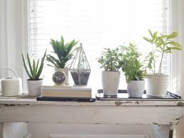 scandinavian house with green planter