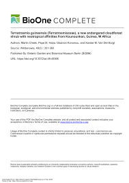 Image result for Ternstroemia polypetala