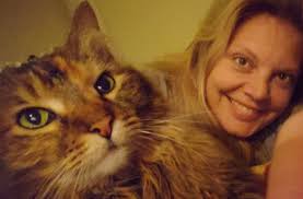 Cats reacting to sneezing with chirping sounds