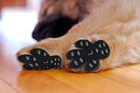 Top 9 Best Paw Grip For Dogs For Slipping 2019 Sideror Reviews