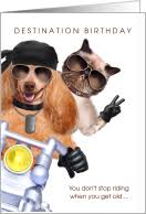 Pet Lover Greeting Cards for All Occasions and All Holidays!