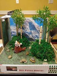 Red Panda Habitat Panda Habitat Bear Habitat Habitats Projects