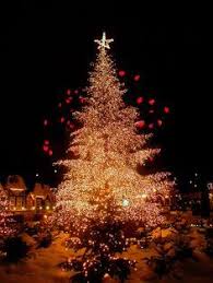 Pin Di Martha Clark Su Christmas Natale Idee Di Natale Idee Per L Albero Di Natale