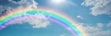 +49 30 200 042 163. Abnehmen Leicht Gemacht Und Was Das Geschirr Und Der Regenbogen Damit Zu Tun Hat