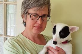 Kings County puppy theft victim desperate to know Budda Boy is safe