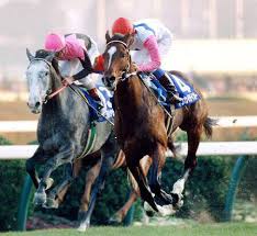 Maybe you would like to learn more about one of these? ç«¶é¦¬ Jraå²ä¸Šä¸€ç•ªã‚¤ã‚±ãƒ¡ãƒ³ãªç«¶èµ°é¦¬wwwwwwwwwwwwww