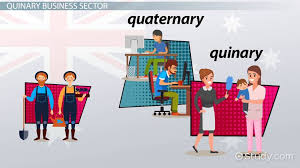 There are many ways to define the term. Quinary Sector Of Industry Definition Examples Video Lesson Transcript Study Com