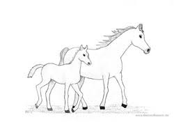 Ausmalbilder zum ausdrucken ausmalbilder pferde mit reiter in 2020 horse coloring pages horse coloring free coloring pages. Kostenlose Und Handgemalte Ausmalbilder Zum Drucken Tiere U V M