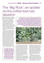 Small farmers' perceptions of coffee coffea arabica l. Pdf The Big Rust Peter Baker Academia Edu