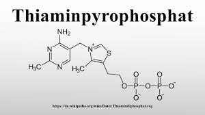 Maybe you would like to learn more about one of these? Thiaminpyrophosphat Youtube