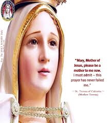 O Immaculate Heart of Mary, refuge of sinners, I beg of you by the infinite  merits of the Sacred Heart of Jesus, and by the graces God has granted to  you since