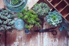 The idea is very original making a planter from a wooden crate is both simple and very good looking and of course original. Diy Projects To Turn Your House Into An Indoor Garden