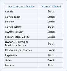 Accounting Normal Balance Cheat Sheet You Re Welcome Accounting Student Learn Accounting Accounting Basics
