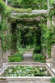 Image result for garden pond ideas