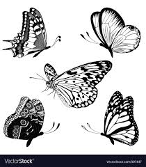 Black And White Butterfly Drawing Images Set Black White Butterflies Of A Tattoo Royalty Free Vector White Butterfly Tattoo Butterfly Black And White White Bird Tattoos