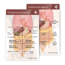 Take time to locate these in the images and be ready for recall in the lesson quiz. Enurse Assessment Card Abdominal Enurse