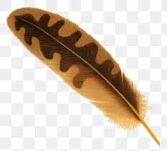 Hand with an eagle feather, concept of ancient writing. Eagle Feather Law Images Eagle Feather Law Transparent Png Free Download