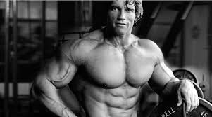 Olympia ist eine lebende legende. Arnold Schwarzenegger Bodybuilding Secrets Decoding The Legend Healthkart Blog