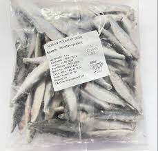 Image result for sprat