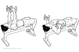 Flat Bench Dumbbell Flyes Workoutlabs Exercise Guide