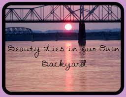 Beauty Lies In Our Own Backyard Backyard Picture Quotes Quotes