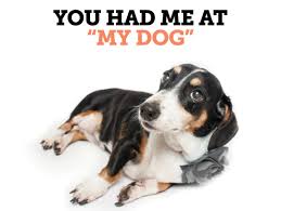 They're an easy ice breaker, a great way to get outdoors, and they say a. There S A Dating App For Portland Dog Lovers Now Portland Monthly
