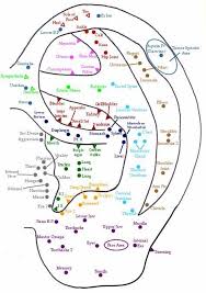 Ear Auricular Acupuncture Points Acupressure Treatment Acupressure Therapy Acupuncture Points
