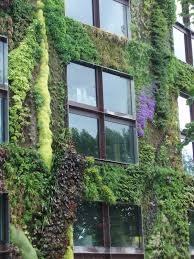 How to create a living wall garden. How To Build Your Own Living Wall Or Vertical Garden Botanical Musings