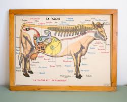 Pin On Vintage French School Posters