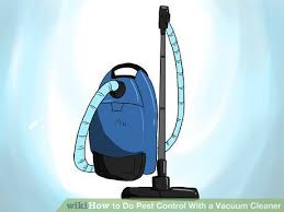Just ask anyone who's ever tried to trap a wasp in a bagless vacuum. Pin On Pest Control