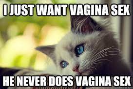 I Just Want Vagina Sex He Never Does Vagina Sex First World Cat Problems Quickmeme