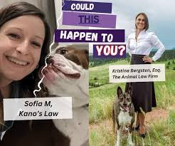 The Animal Intuitive: Kano's Law