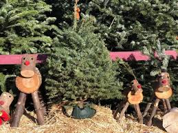 You don't need to spend a fortune to pull off diferentes estilos para la decoración navideña. Where To Find A Christmas Tree In And Around Los Angeles