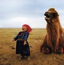 Their saliva teems with bacteria, so within 24 hours of being licked or bitten, most animals will die of blood poisoning. Pin By Kraicewski On Possessed Creature Happy Pictures Mongolia Kids Around The World