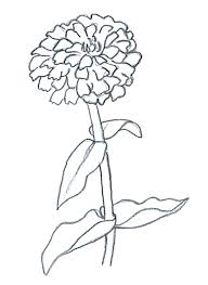 For drawing the petals, you can draw a circle, oval or square shape and then draw petals inside it. Flower Sketches