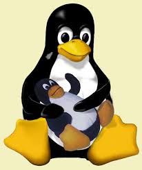 Edmond hall, 43adrian hall, 50ernie. Linux Gazette January 2005 110