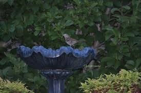 How do you seal a concrete bird bath? How To Paint Your Own Garden Figurines And Decor Easy Backyard Gardening