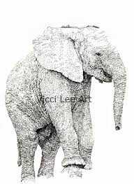 Baby Black And White Elephant Pictures Baby Elephant Picture Animal Illustration By Vicci Lee Baby Animal Art Baby Elephants Art Baby Elephant Pictures
