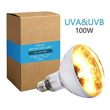 Top 15 Best Uvb Lights For Bearded Dragons Reviews Guide 2020 Trong 2020