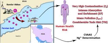 Evaluation of heavy metal pollution in ...