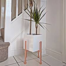 Maybe you would like to learn more about one of these? 101 Best Plant Stands For Indoors And Outdoors In 2021
