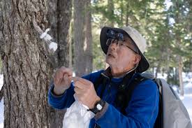 The Naturalist and the Wonderful, Lovable, So Good, Very Bold Jay