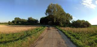 Context sentences for spalony in english. File Spalony Dwor Niemyslowice 2020 09 03 08 Jpg Wikipedia