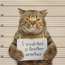 images?q=tbn:ANd9GcT8oaTVWz0EXb7Hl8x7qgk