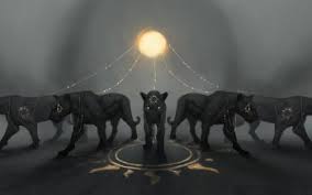 We did not find results for: 10 Schwarzer Panther Hd Wallpapers Hintergrunde